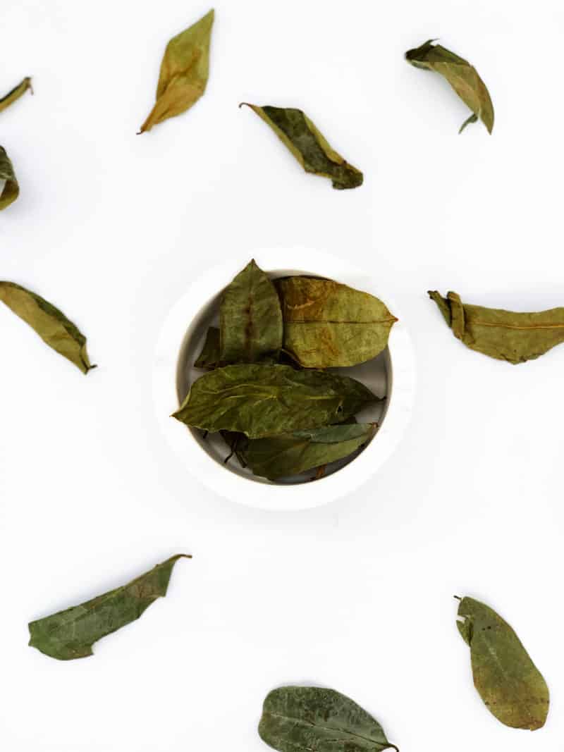 Soursop Tea