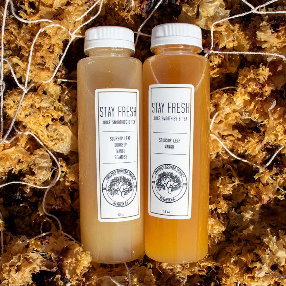 Sea Moss Smoothie
