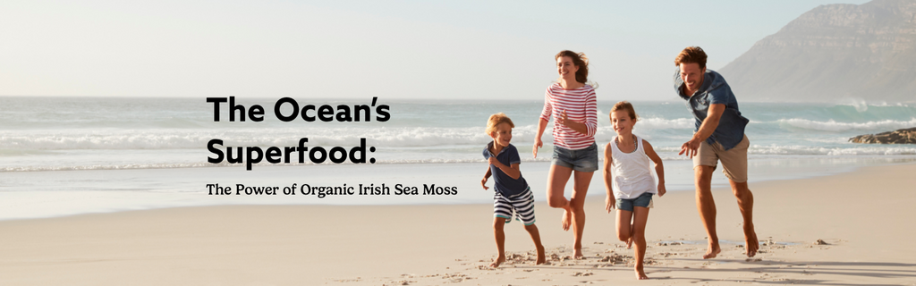 Boost Your Immune System & Gut Health with Organic Irish Sea Moss